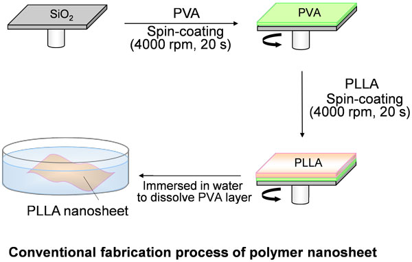 Polymer, nanosheet